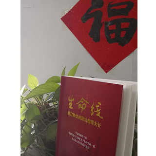 生命线：能打胜仗的政治指挥大计