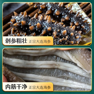 【礼盒】赵家即食海参直接吃1000g 15-25只轻食滋补新鲜海鲜