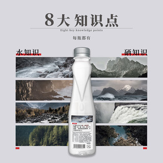 Pauls 保利 矿涌泉水 550mL 12瓶 1箱