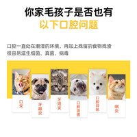 弗尔莱葆 口咽清喷剂猫口炎宠物狗口腔溃疡流口水牙龈炎红肿除口臭