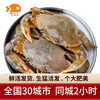 【活鲜】喵和渔 鲜活青蟹 鲜活螃蟹海鲜水产膏蟹活螃蟹  膏蟹6-7两/一只