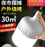 88VIP：SHUIYI 岁艺 LED充电灯泡200W夜市摆摊超亮节能家用可应急照明户外露营灯