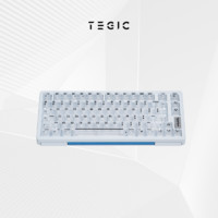 TEGIC 剩下179个 绝版 客制化机械键盘冰静轴怒喵键帽 框架主义 FRAMISM