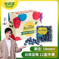 怡颗莓 Driscoll’s 云南蓝莓 原箱12盒礼盒装 125g/盒