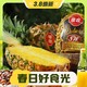  3.8焕新、88VIP：Goodfarmer 佳农 黑钻超甜凤梨 2头装 （单果1kg+）　