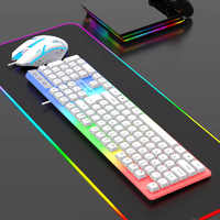 雨硕 键鼠套装台式机笔记本办公家用电脑游戏键盘USB有线键盘鼠标 USB鼠标+键盘-发光GTX350球帽白