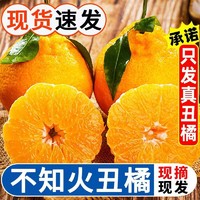 江博尔 5斤四川不知火丑橘当季新鲜水果整箱现摅橘子甜丑桔现摘现发包邮