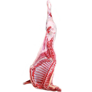 羊小柒 宁夏滩羊肉 生鲜分割半只羊排年货礼盒羊腿羊蝎子烧烤火锅食材 15斤整半只（现砍肉）