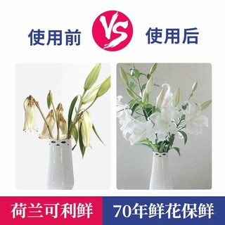 CHRYSAL 可利鲜 进口可利鲜保鲜剂鲜花延长花期园艺百合玫瑰植物通用型营养液肥料