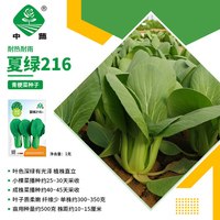 京农研油菜种子上海青苏州青梗小白菜紫油菜鸡毛菜农科院易种蔬菜种籽孑 中蔬夏绿216青梗菜 1克