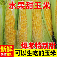 颜小荭 新鲜现摘金银甜水果甜玉米 5斤（约5-8个）