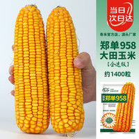 寿禾shouhe 郑单958玉米种子大田优良蔬菜籽 企选版郑单958玉米种子约1400粒