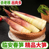 lvxiansen 绿鲜森 临安天目山春笋新鲜大笋雷笋现挖竹笋蔬菜生鲜 1.5kg 装(单支2两起）