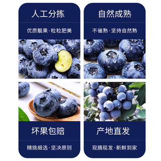 鲜程祥合 特大果 新鲜蓝莓 125g*6盒 果径15-18mm （不用券实付）
