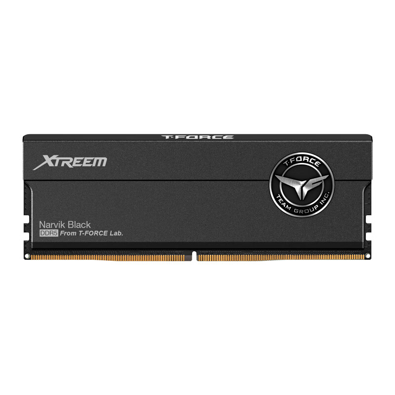 Team 十铨 XTREEM DDR5 8200MHz 台式机内存 马甲条 黑色 48GB 24GBx2 C38