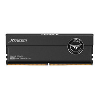 Team 十铨 XTREEM DDR5 8200MHz 台式机内存 马甲条 黑色 48GB 24GBx2 C38