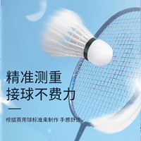 88VIP：LI-NING 李宁 Lining/李宁羽毛球12只 C10