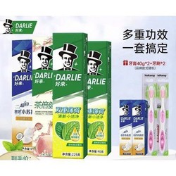 DARLIE 好来 双重薄荷牙膏组合 565g（赠牙膏40g*1＋牙刷*2）