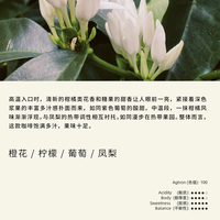 白鲸咖啡C104 哥伦比亚 La Negrita 瑰夏 厌氧红蜜 75g