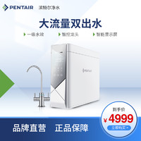 PENTAIR 滨特尔 家用双出水400G净水机反渗透厨房纯水机V4000-a