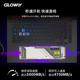 光威（Gloway）2TB SSD固态硬盘 M.2接口(NVMe协议) PCIe 4.0x4 神策系列