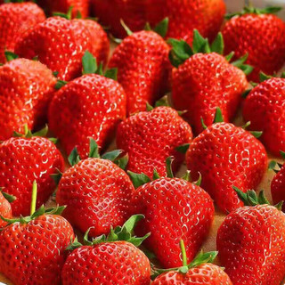洽乐 丹东99红颜奶油草莓2斤大果年货礼盒 单果约28-35g 新鲜水果