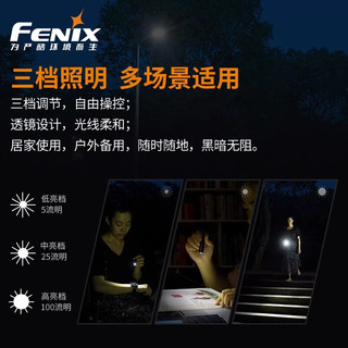 菲尼克斯（FENIX）菲尼克斯E01V2.0微小迷你手电筒强光防水AAA电池钥匙扣手电 E01 V2.0(黑色)