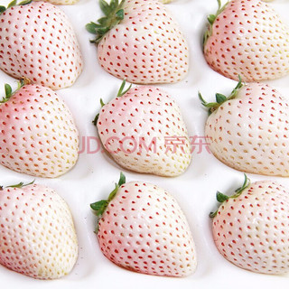 今日特价！！ 淡雪 白草莓 250克一盒 约9-20粒顺丰空运