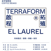 【Terraform】 柑橘 黄糖 洪都拉斯月桂庄园抗病种系列水洗咖啡豆