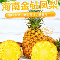 自然搭档海南金钻凤梨 新鲜热带水果 4.5-5斤（2-3个）