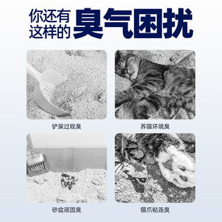 DRYMAX 洁客 黑不臭豆腐膨润土混合猫砂强效除臭低尘高效结团猫砂2.5kg 新客尝鲜2.5kg