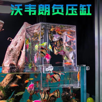 VOONLINE 沃韦朗 负压鱼缸生态缸 造景装饰