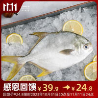 1号会员店（One’s Member）甄选海南二去金鲳鱼去鳃去内脏生鲜鱼类 海鲜水产 700g（2条）