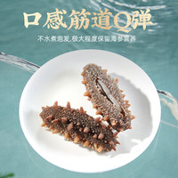 大彼得湾大连鲜食海参底播即食海参高营养固形物85%以上礼盒 500克8-10根