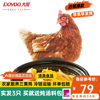 DOYOO 大用 新鲜三黄鸡 整只约850g/只 赠2只到手3只