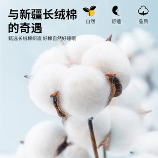 名创优品（MINISO）抗菌纯棉床笠单件 1.8米床 方格 ✦100%纯棉✦大方格
