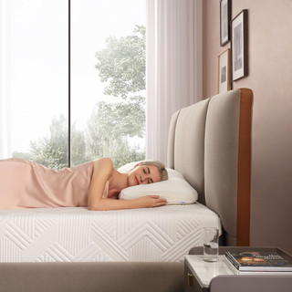 TEMPUR 泰普尔 枕头记忆棉颈椎枕芯深度养护睡眠慢回弹护颈枕舒适睡觉单个舒芯 舒芯枕 M码（65X42x11cm）
