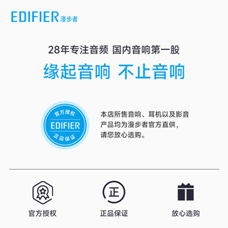 EDIFIER 漫步者 N2 真无线蓝牙耳机通话降噪半入耳式音乐游戏耳机适用于苹果华为安卓通用 N2 雾霾蓝