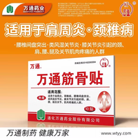WT 萬通 万通筋骨贴10贴/2盒装