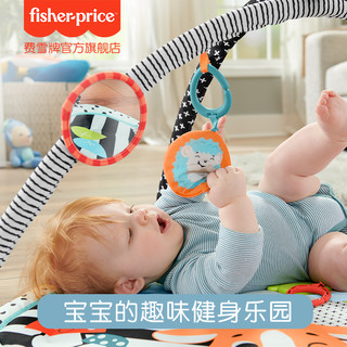 费雪（Fisher-Price）婴儿玩具0-3岁新生儿- 3合1趣味萌宠乐园器HBP41