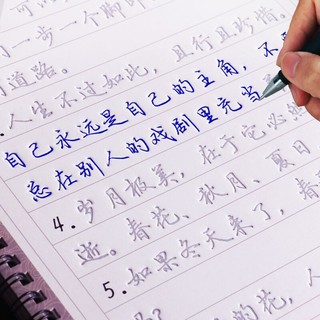 金趣 行楷字帖成人行书凹槽男生女生字体钢笔速成硬笔书法练字帖汉字