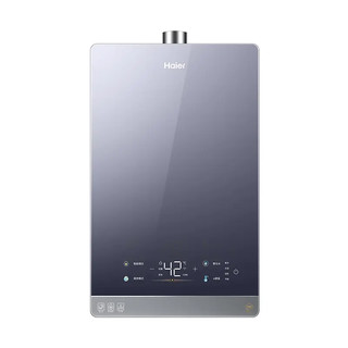 Haier 海尔 JSQ31-16FPD6FPRGU1 燃气热水器 16L