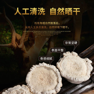 修年堂 鹿角帽粉100g 东北吉林鹿托盘鹿角帽磨粉 通乳腺鹿角粉  过年年货高端送人 鹿角帽粉100g 【精选品质】