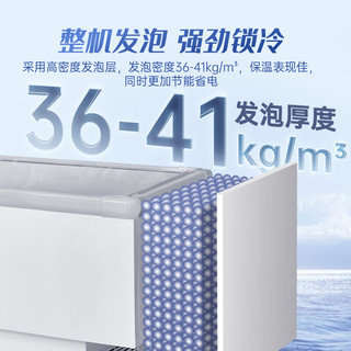AUCMA 澳柯玛 冰柜商用大容量冷柜冰箱冷