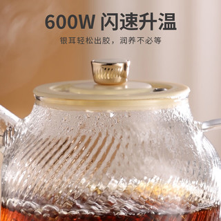 康宁花茶壶养生壶 玻璃煮茶壶煮茶器1L +小灯泡家用玻璃可视空气炸锅 4L大容量 【花茶壶-茶漏款】+【空气炸锅】