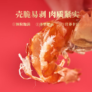 北海印象九节虾虾干礼盒500g 即食烤虾干 父母爱人