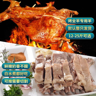 公羊整只靖远新鲜羊羔肉羊肉甘肃宁夏滩羊肉内蒙古现杀烤全羊整只 30斤整只分解装--现宰