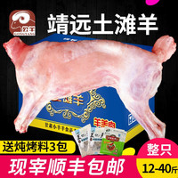 公羊整只靖远新鲜羊羔肉羊肉甘肃宁夏滩羊肉内蒙古现杀烤全羊整只 8斤整半扇羊不切【-礼盒装】