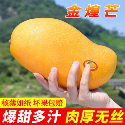 海南金煌芒果6斤装35个