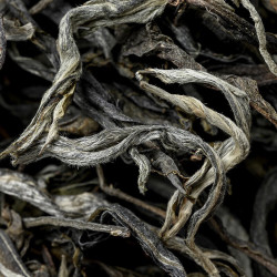 金星满天预售2024年新茶云南易武正山古树普洱茶生茶散茶早春生普茶叶